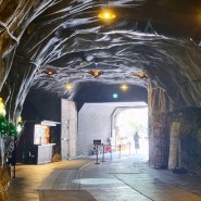 충주 여행 : 활옥동굴 안에서 투명 카약타기, 종이의집 촬영지