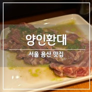 용산 맛집, 양고기 전문점 '양인환대' (ft. 콜키지 프리)