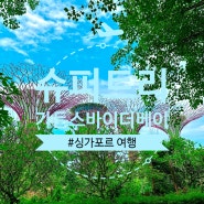 [해외여행]In싱가포르✈가든스 바이더베이 슈퍼트리 가는방법, 입장권, 사진명당