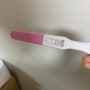 둘째 임신 13주 까지의 기록들_+임밍아웃, 기형아검사, 태아보험, 보베의 근황