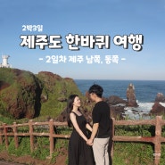 제주도 남쪽코스 | 하루에 돌아보는 남쪽 서귀포 가볼만한 곳 6