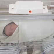 [출산기록] 강남차병원 제왕절개 입원 2일차 | 신생아 면회 | 페인버스터