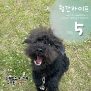 [월간라이프] 동물보호단체 라이프 뉴스레터 5월호