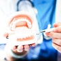 라이나치아 보험 방법 에이스 치아보험 해지 에이스손해보험 고객센터 상품별로 비교하는 방법