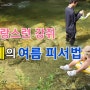 사랑스러운 강쥐 라떼의 피서법/장박캠핑 일상