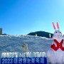 2023년 평창 대관령 눈꽃축제 후기 | 겨울페스티벌 커플 여행지로 적극 추천
