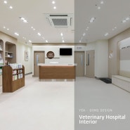 인천 모코 동물병원 인테리어 화이트 우드 디자인의 의료센터