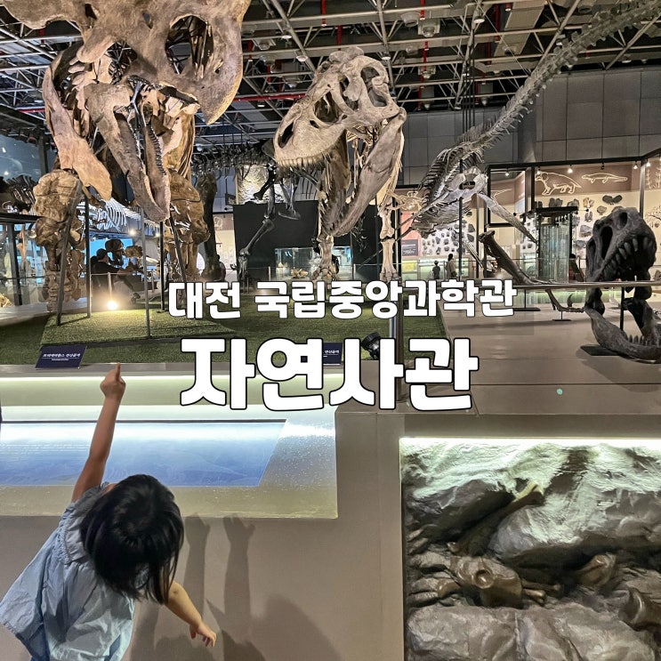 대전 국립중앙과학관 솔직 후기 자연사관 공룡 좋아하는...