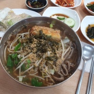 강원도 정선 콧등치기 맛집 회동집 내돈내산