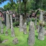 다시 동남아(22), 인도네시아.Toraja(2) : 커피, 장례문화, 전통가옥, 선돌 유적 등 별별게 다 있는 '토자라'
