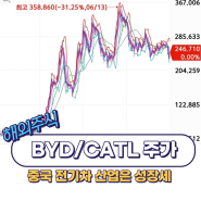 부동산은 위기 그러나 BYD CATL은 승승장구? (ft. 차이나 전기차 etf)