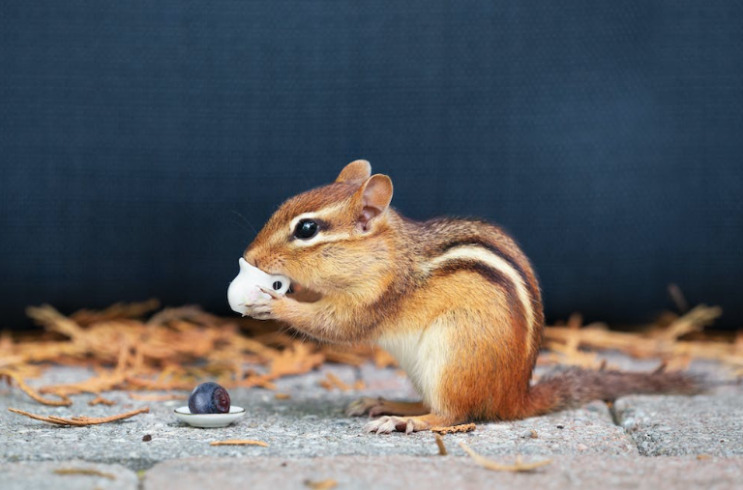 작다 작은 영어로 - 적다 영어표현 small, little, tiny, petite : 네이버 블로그