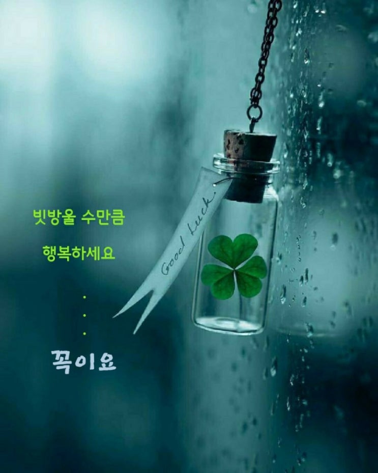 가을비 내리는 행복한 수요일 아침인사 이미지 : 네이버 블로그