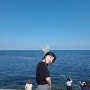 [포항 2박3일 여름휴가] 호미곶/ 구룡포해수욕장/ 호미곶포차거리/ 춘천댁4계닭갈비