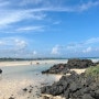 제주도 표선해수욕장 🏖️ 모래놀이하는 삼남매 ❤️