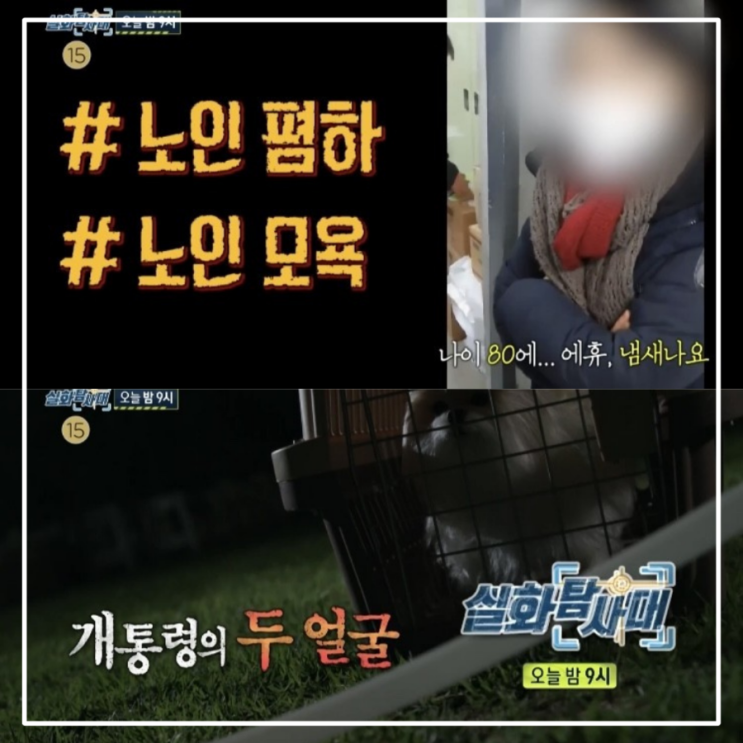 실화탐사대 231회 강남 아파트 단지 유능한 재건축 위원장 막말하는 동영상 수없이 봉변 당한 사람들 거제도 개통령 개를 때리라는 ... 실화탐사대 231회 강남 아파트 단지 유능한 재건축 위원장 막말하는 동영상 수없이 봉변 당한 사람들 거제도 개통령 개를 때리라는 ...