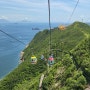 홍콩 여행 오션파크 후기 2탄 케이블카, 바다표범, 놀이기구, 오션 익스프레스
