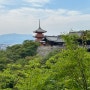 오사카여행 3편 교토 여행