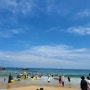 [동해여행]애견동반여행 여름휴가 추암해변