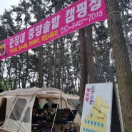 [캠핑그램]충남 서천 춘장대 중앙솔밭 캠핑장