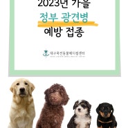 [대구24시동물병원] 2023년 정부광견병 예방 접종
