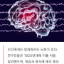 알파파의 뜻