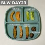 BLW23일 (오트밀 그릭요거트, 샤인머스켓, 토마토, 쇠고기단호박메쉬 스틱, 오나오 과일)