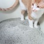 사계절 사용하기 좋은 고양이모래 벤토나이트 마이도미넌트