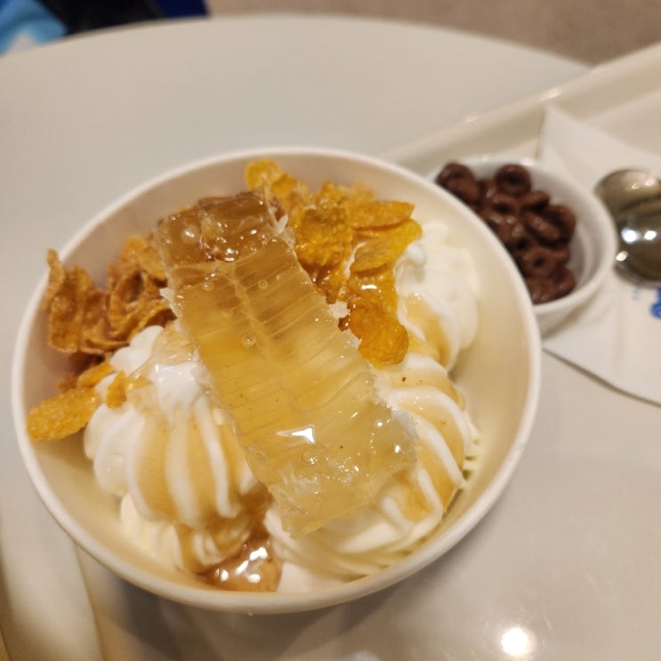 [카페요아정]요거트 아이스크림의 정석 성수점 : 네이버 블로그