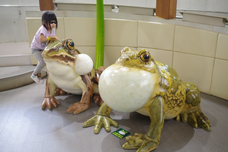 담양 아이와 가볼만한 곳 개구리생태공원 에코교육관