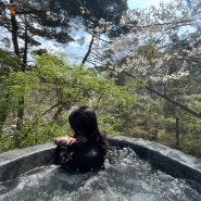 [제천여행] 포레스트 리솜(레스트리 리솜) 벚꽃과 함께한 가벼운 여행, 헤브나인스파