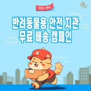 김해반려동물장례 - 안전 지관 무료 배송 캠페인 안내