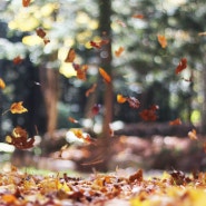 가을피부지키는 10가지 습관