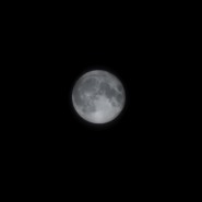 갤럭시 폴드4로 촬영한 슈퍼 블루문 달 사진