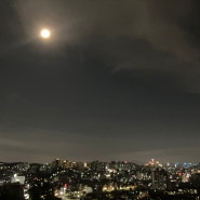 Super Blue Moon 보러 봉산에 오르다