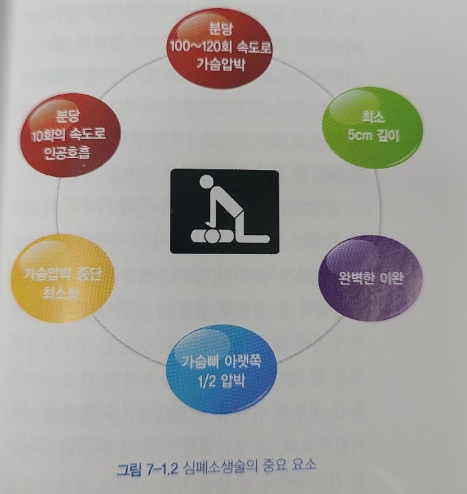 CPR chest compression,BVM, ETCO2 심폐소생술 시 가슴압박,호기말 이산화탄소 분압, 백마스크 인공호흡 ...
