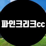 서울세종 고속도로 구간중 구리안성 고속도로 개통 이후 더욱 편리해질 교통이 예상되는 파인크리크cc 회원권을 소개 합니다.