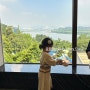 [워커힐 금룡] 금룡 리버뷰에서 엄마생신 가족식사,예약방법,금룡 도코스 후기,할인팁
