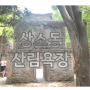 대전 상소동 산림욕장 한국의 앙코르와트 돌탑보며 산책하기 좋은 곳