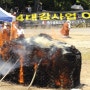 문수스님 분신 사건, 4대강 반대 소신공양