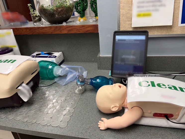 [미국간호] BLS, ACLS 처음 갱신하기 : 네이버 블로그