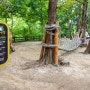 서울 상암동 아이랑 갈만한곳 도심에서 즐기는 숲! 월드컵공원 유아숲체험원