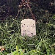 전곡선사박물관가다