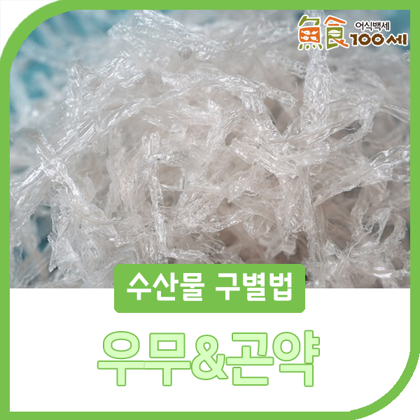 [수산물구별법] 우뭇가사리 :: 우무(한천)와 곤약 이렇게 구분하세요 : 네이버 블로그