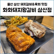 울산 삼산 갈비 맛집 화화돼지왕갈비 부드러운 갈비와 싱싱한 육회 B세트 후기