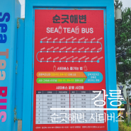 강릉 뚜벅이 여행 시티버스 이용정보 및 순긋해변 시설,대여용품 정보