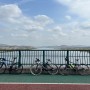 한국 귀국 후 6개월간 자전거 라이딩 정리 | 대전, 세종, 공주, 부여, 금강자전거길, 피노키오 코스 등