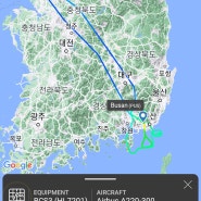 [KE1419 편] 김해착륙 실패로 인천으로 회항 후 재이륙