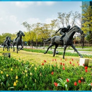 스마트폰활용 스마트폰사진 서울숲 야외 수업 / 안산 디지털 스마트폰활용 강사 최상국