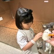 안산 고잔동 4살 아이랑가볼만한곳 타이니쥬 실내동물원
